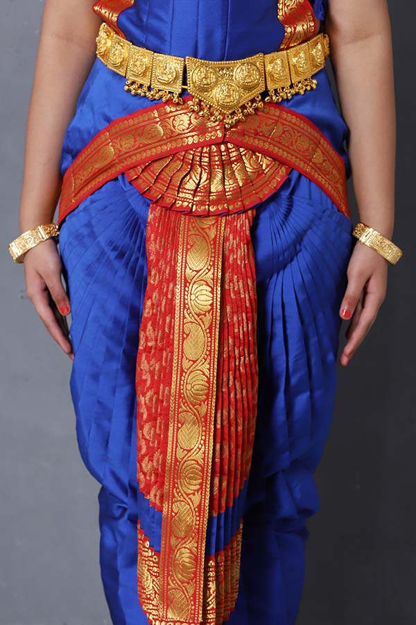Red Blue Bharatanatyam Costume