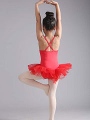 Red Tutu Ballet Dance Dress
