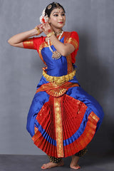 Red Blue Bharatanatyam Dance Costume