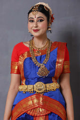 Red Blue Bharatanatyam Silk Dress